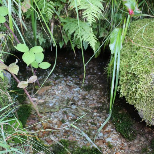 Spring at Ležoviská by route E8