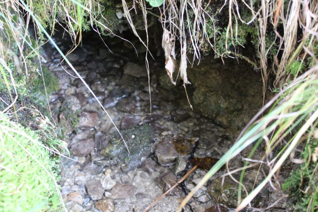 Prameň nad farmou Kramariská, Likavka 02 Prameň nad farmou Kramariská, Likavka 02