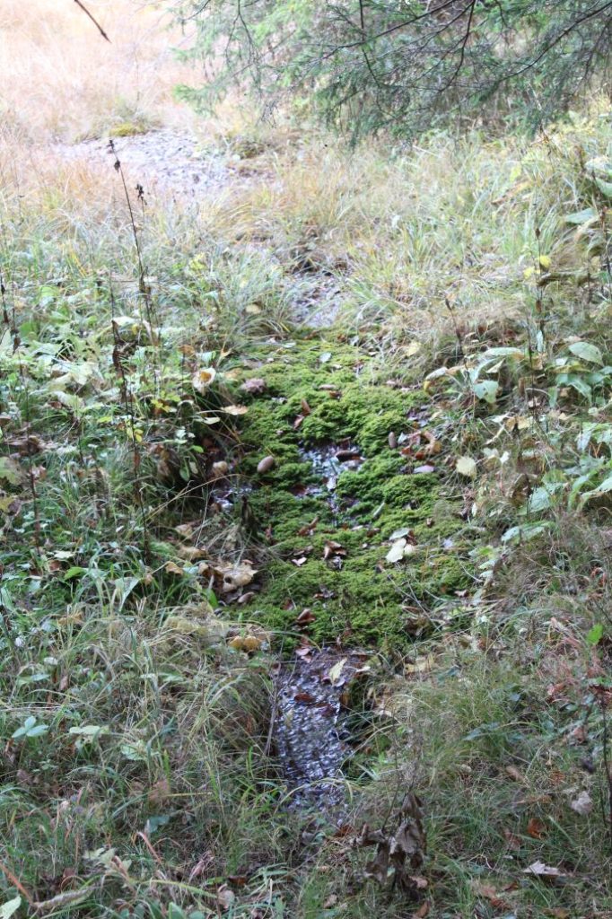 Prameň nad farmou Kramariská, Likavka 04 Prameň nad farmou Kramariská, Likavka 04