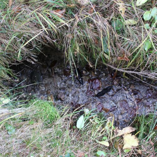 Spring above Kramariská Farm, Likavka