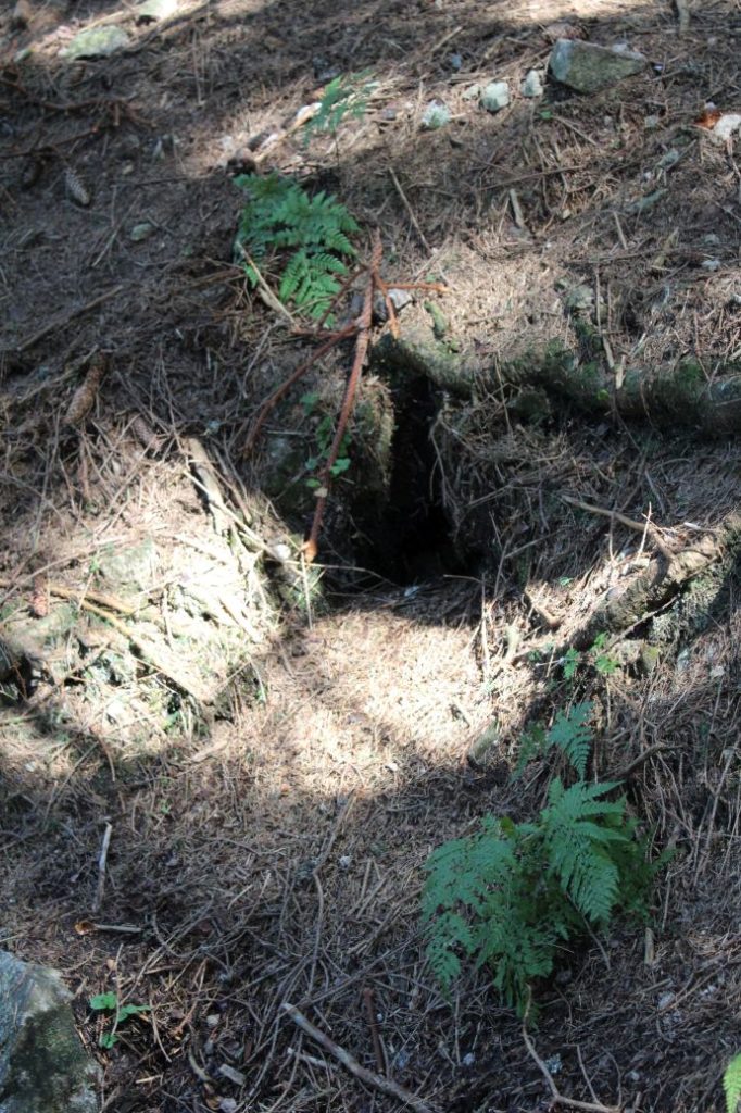 Prameň pod Poslednou vodou, Liptovská Lúžna 02 Prameň pod Poslednou vodou, Liptovská Lúžna 02