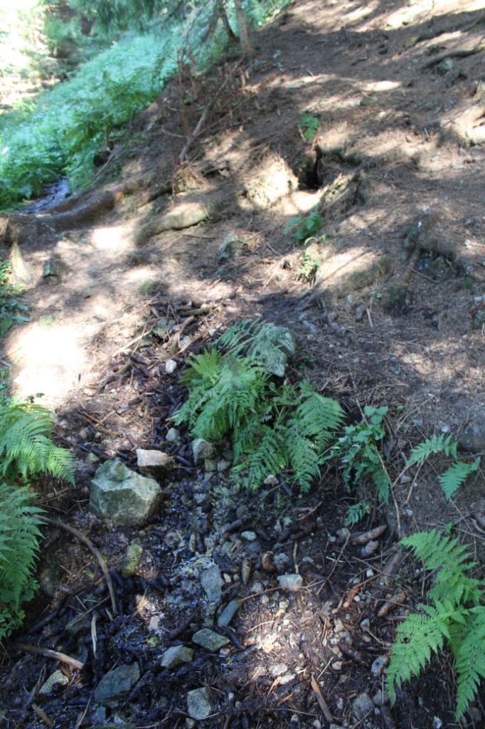 Prameň pod Poslednou vodou, Liptovská Lúžna 03 Prameň pod Poslednou vodou, Liptovská Lúžna 03