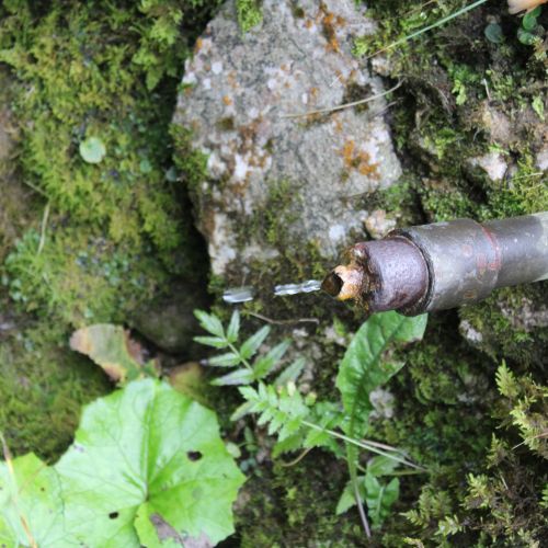 Spring by the main ski run – bottom one, Ružomberok