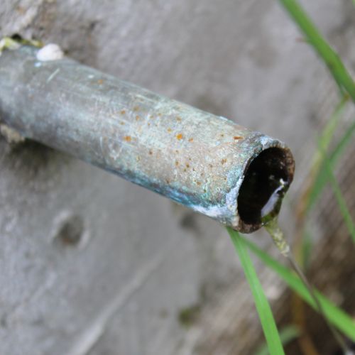 Spring by the main ski run – top one, Ružomberok