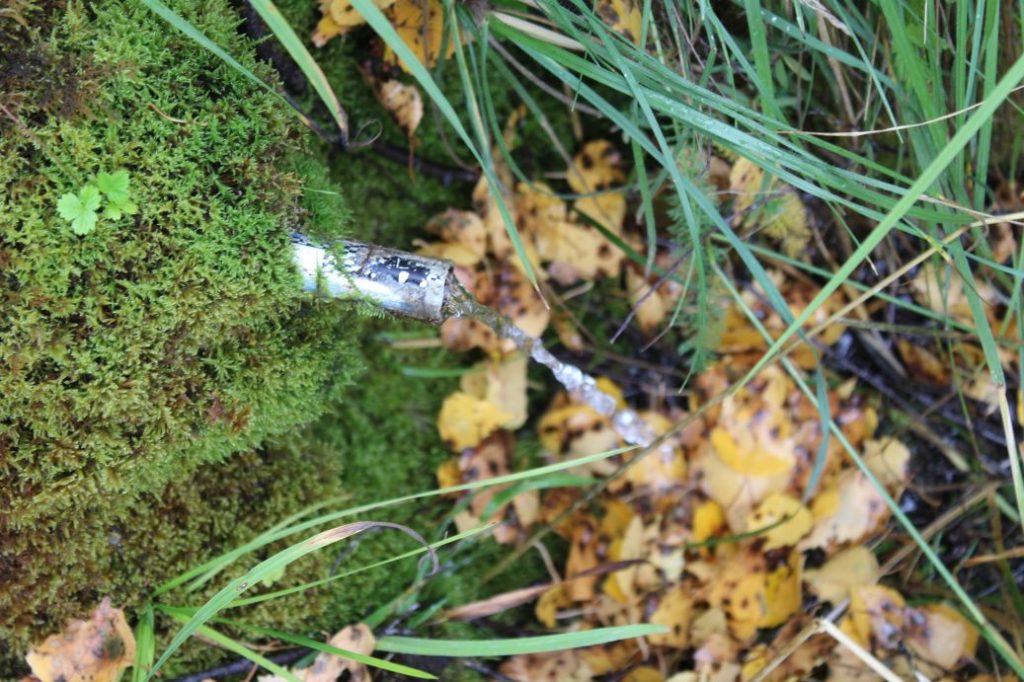 Prameň pri hlavnej zjazdovke - stredný, Ružomberok 01 Prameň pri hlavnej zjazdovke - stredný, Ružomberok 01