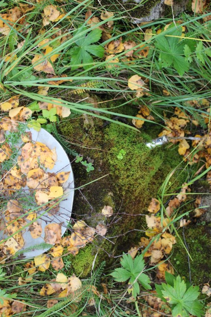 Prameň pri hlavnej zjazdovke - stredný, Ružomberok 02 Prameň pri hlavnej zjazdovke - stredný, Ružomberok 02