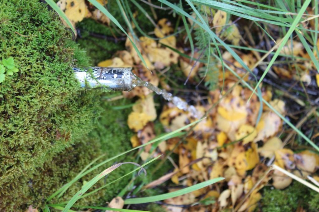 Prameň pri hlavnej zjazdovke - stredný, Ružomberok 03 Prameň pri hlavnej zjazdovke - stredný, Ružomberok 03