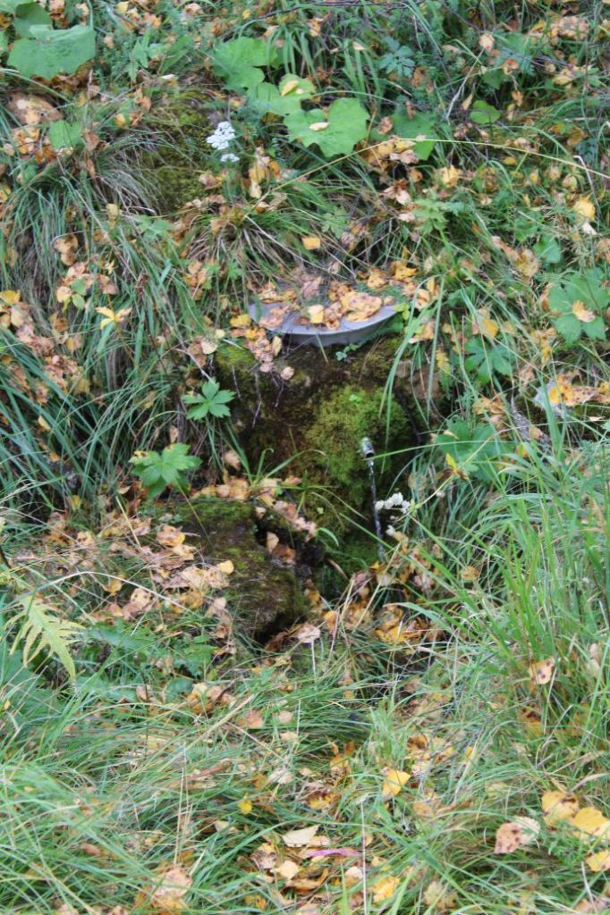 Prameň pri hlavnej zjazdovke - stredný, Ružomberok 04 Prameň pri hlavnej zjazdovke - stredný, Ružomberok 04