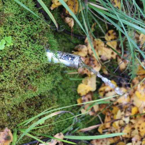 Spring by the main ski run – middle one, Ružomberok