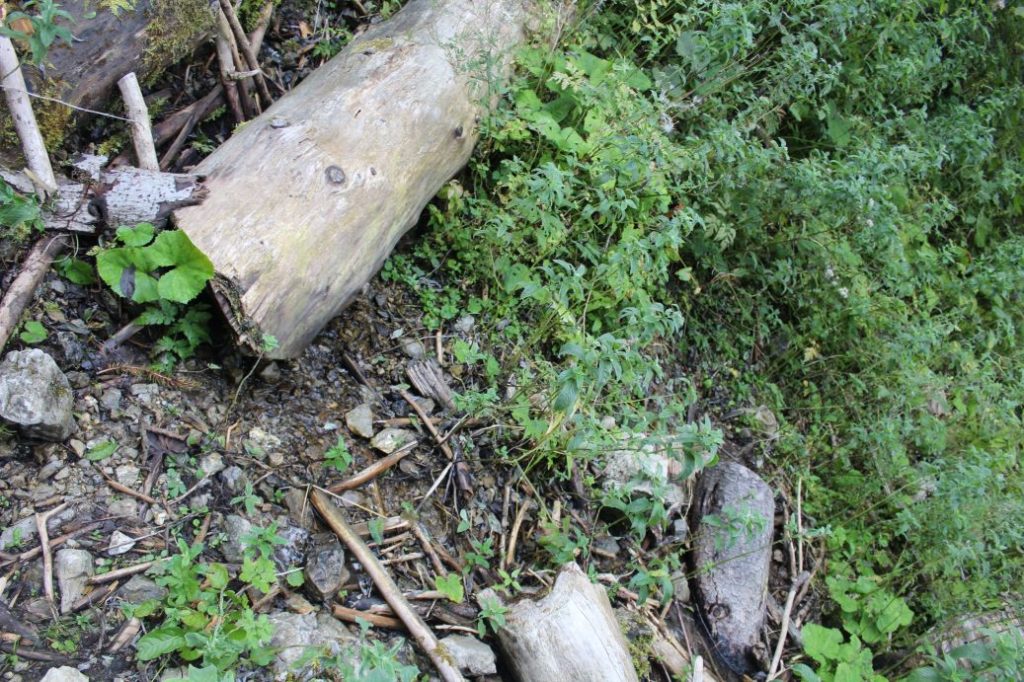 Prameň v Sliačskej doline 1, Liptovské Sliače - Stredný 04 Prameň v Sliačskej doline 1, Liptovské Sliače - Stredný 04