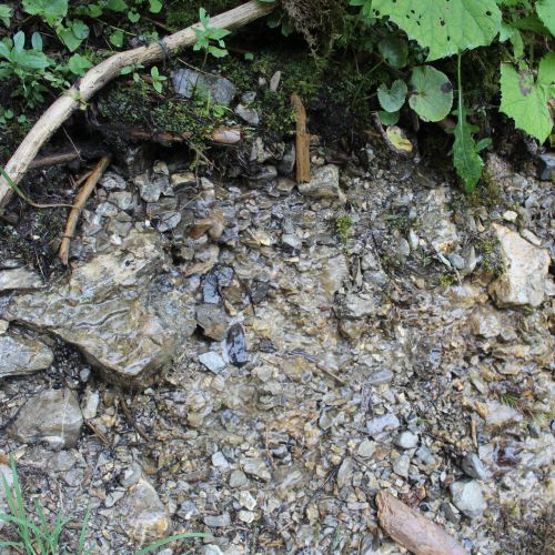 Spring in the Sliačska Valley 3, Liptovské Sliače – Stredný