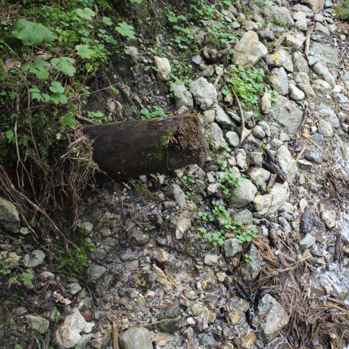 Spring in the Sliačska Valley 4, Liptovské Sliače – Stredný