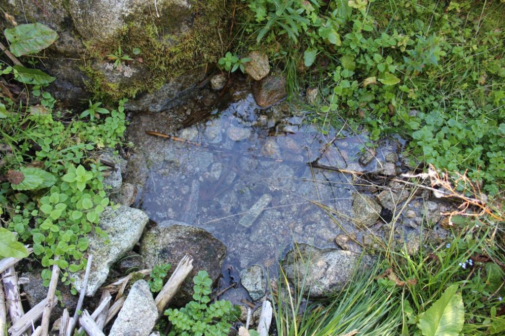 Premeň Štítová, Liptovská Lúžna 01 Premeň Štítová, Liptovská Lúžna 01