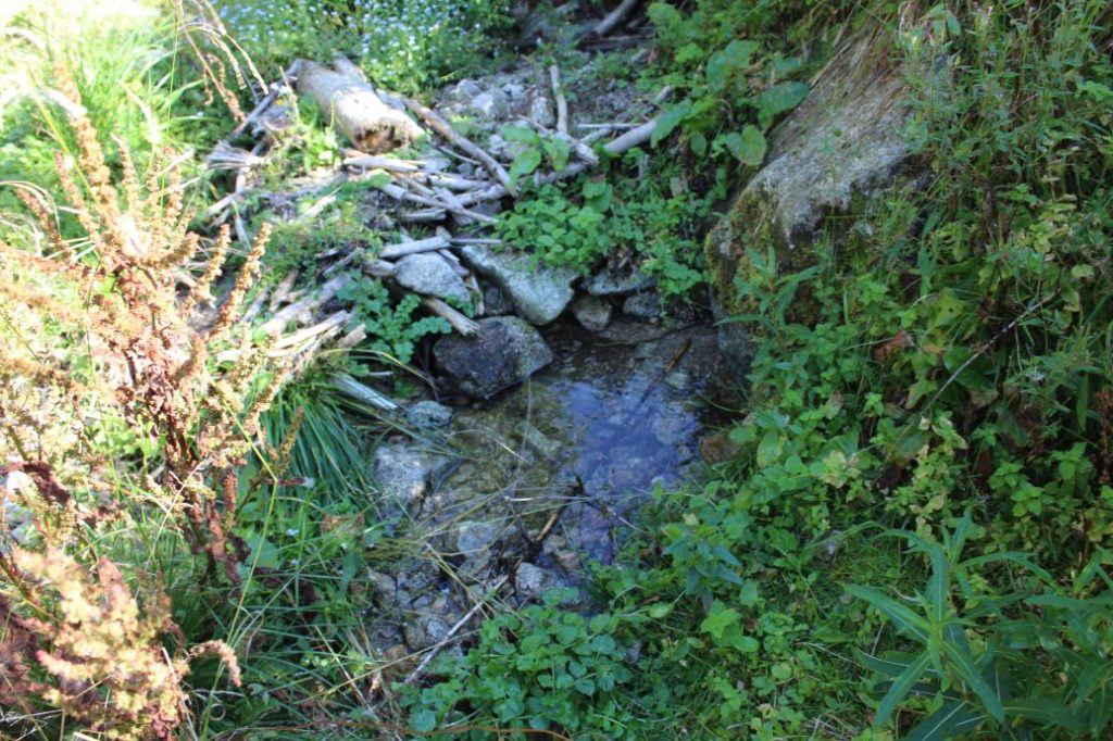 Premeň Štítová, Liptovská Lúžna 03 Premeň Štítová, Liptovská Lúžna 03