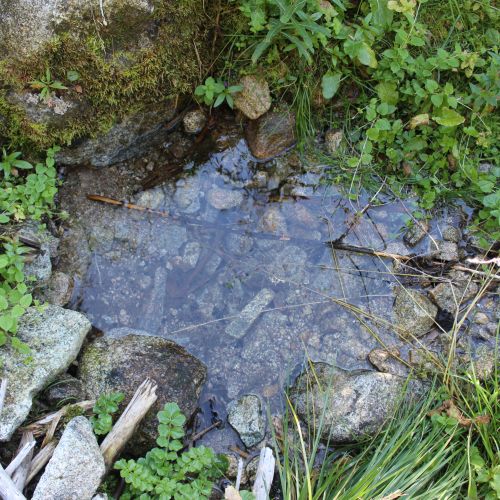 Spring Štítová, Liptovská Lúžna