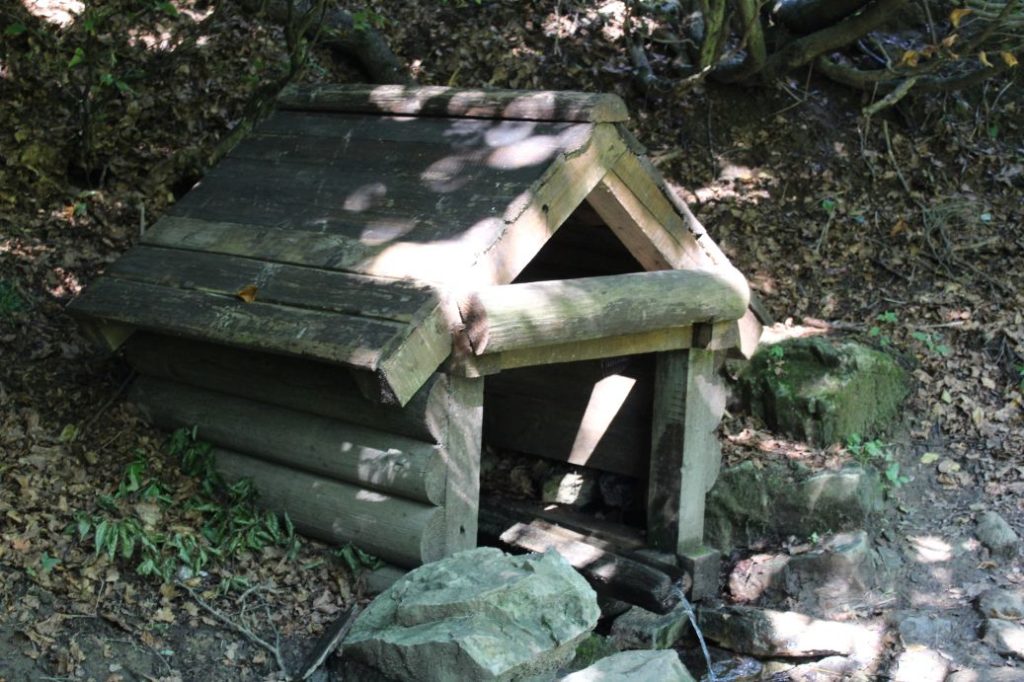 Studnička v Hiadeľskom sedle 03