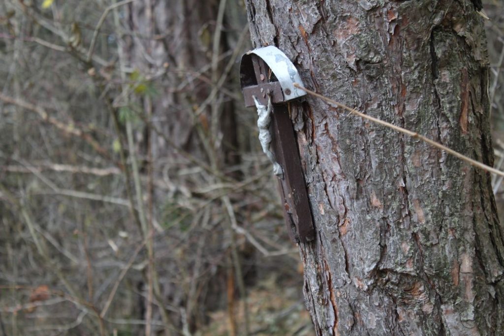 Zastavenie Valaská Dubová, pred krížovou cestou 03