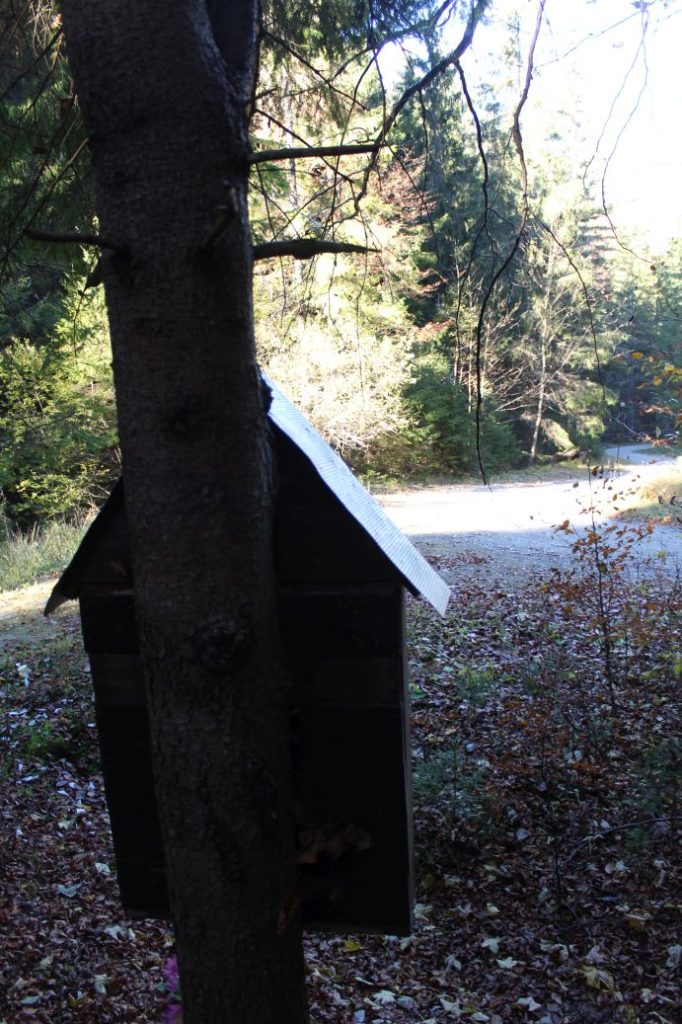 Zastavenie pri ceste na Šturec, Liptovské Revúce - Vyšná Revúca 03