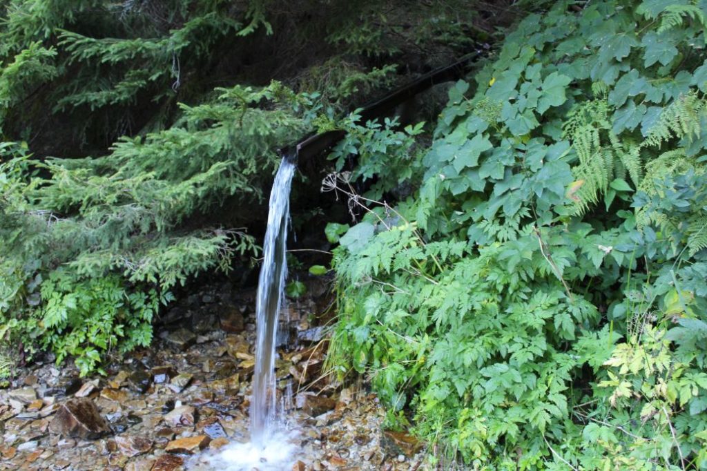 Žliabok pod Hiadeľským sedlom, Liptovská Osada 02