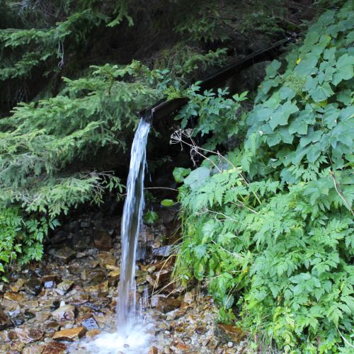 A small conduit below notch Hiadeľské Sedlo, Liptovská Osada