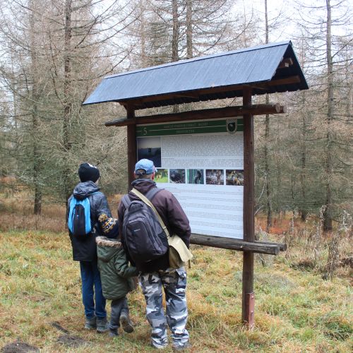 Príroda lieči: Popod Čebrať