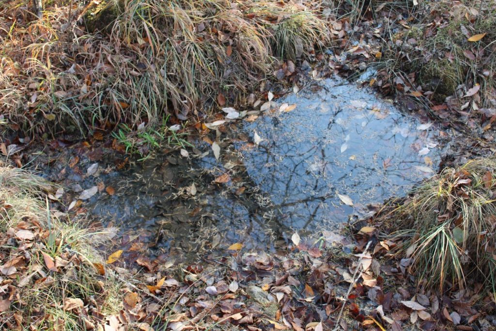 Bahnisko cestou na Vrchlúky, Ružomberok - Vlkolínec 02