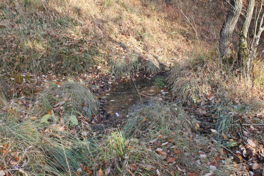 Bahnisko cestou na Vrchlúky, Ružomberok - Vlkolínec 03