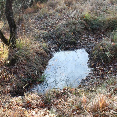 Mud swamp on the way to Vrchlúky, Ružomberok – Vlkolínec