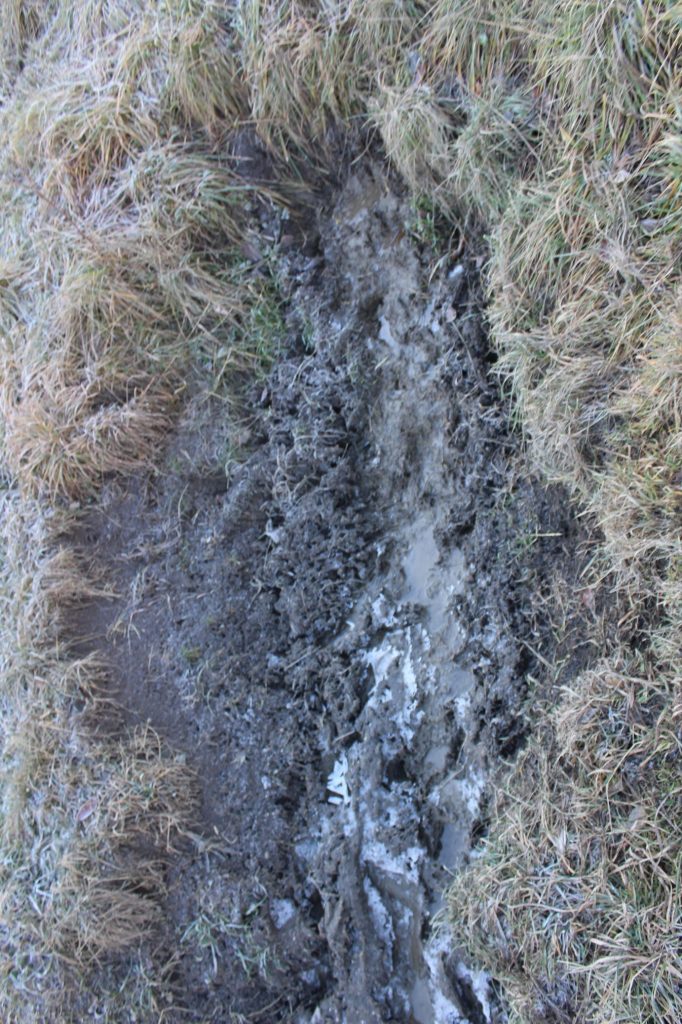 Bahnisko pod Dielcami, Ružomberok - Vlkolínec 04