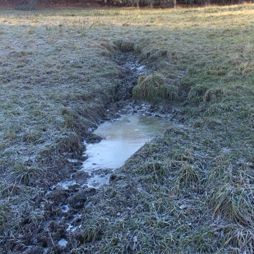 Mud swamp below Dielce, Ružomberok – Vlkolínec