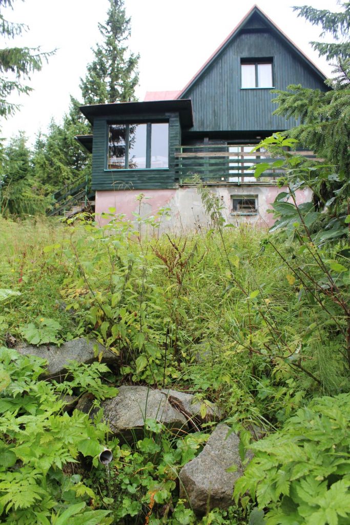 Prameň Vyšný Matejkov na Močidle pod Smrekovicou, Ružomberok 01