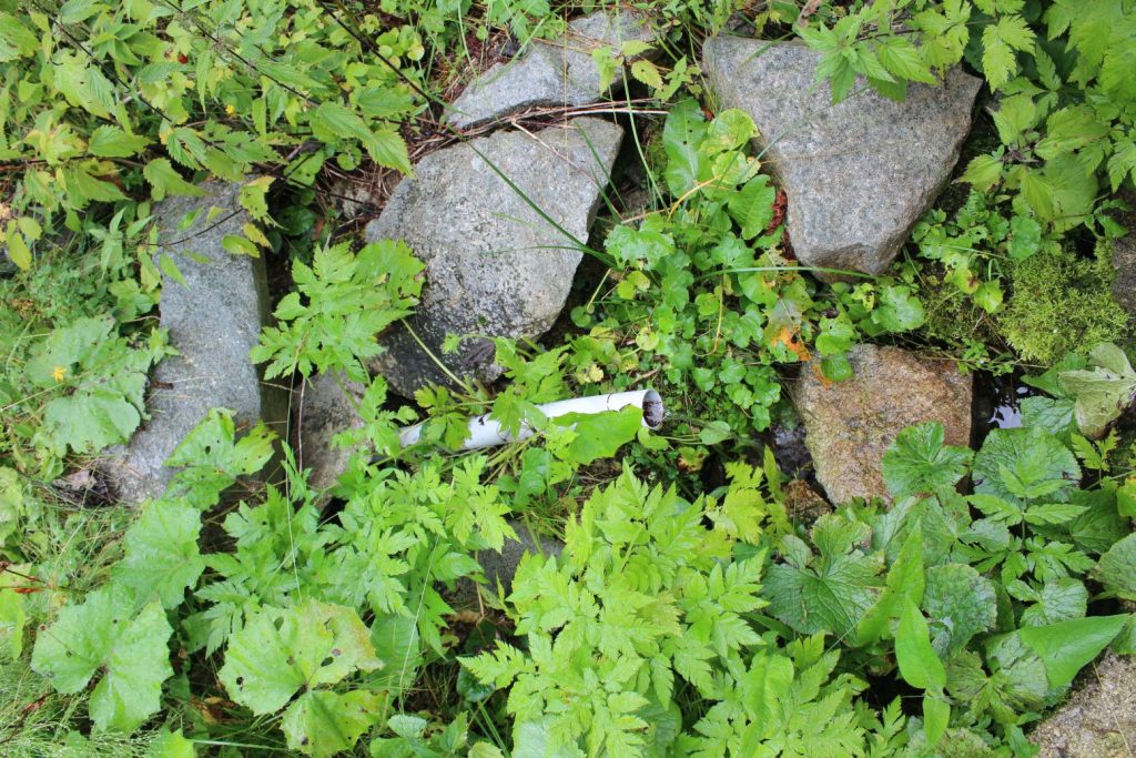 Prameň Vyšný Matejkov na Močidle pod Smrekovicou, Ružomberok 02