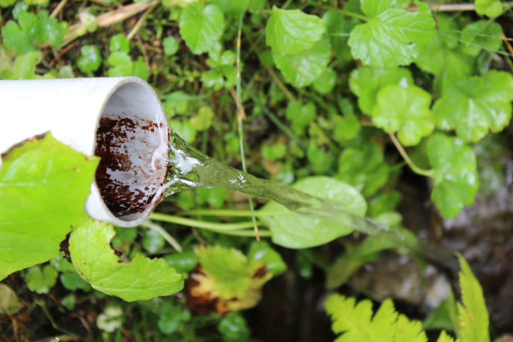 Prameň Vyšný Matejkov na Močidle pod Smrekovicou, Ružomberok 03