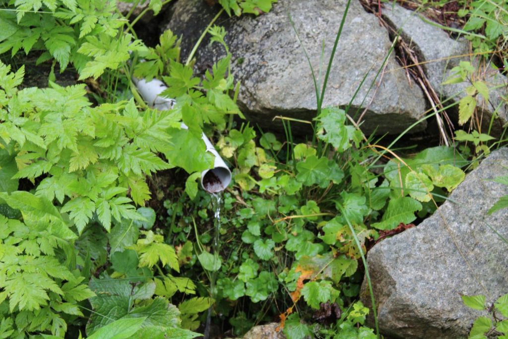 Prameň Vyšný Matejkov na Močidle pod Smrekovicou, Ružomberok 04