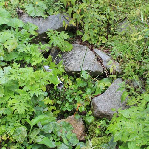 Spring Vyšný Matejkov at Močidlo, below Smrekovica, Ružomberok