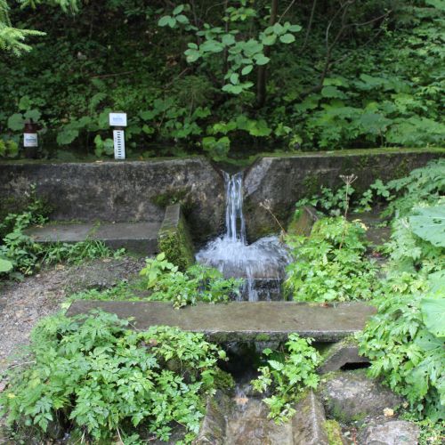 Spring Vyvieračka in the Jastrabia Valley, Lúčky