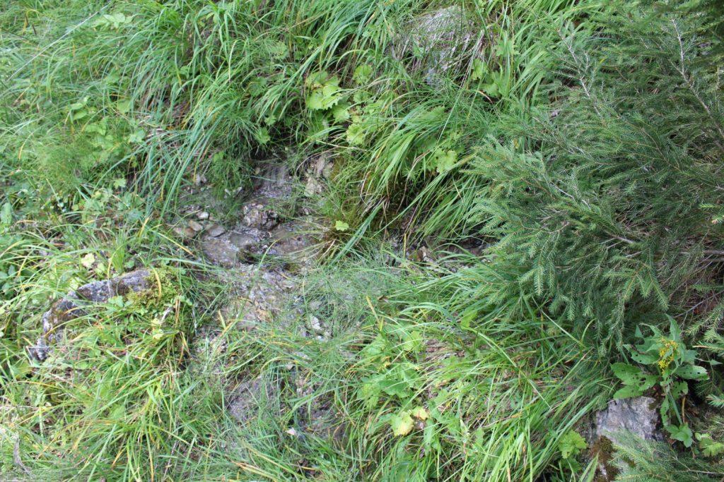 Prameň Žimerovho potoka, Lúčky 03