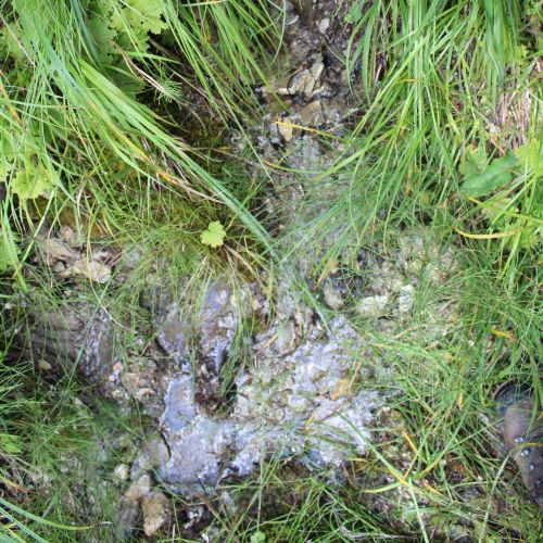 Spring of the Žimerový creek, Lúčky