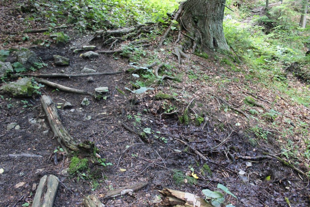 Prameň Žimerovho potoka pri chodníku, Lúčky 02 Prameň Žimerovho potoka pri chodníku, Lúčky 02