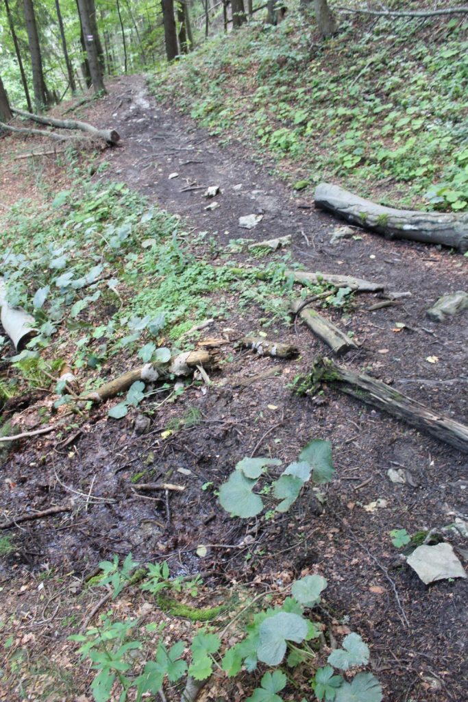 Prameň Žimerovho potoka pri chodníku, Lúčky 05 Prameň Žimerovho potoka pri chodníku, Lúčky 05