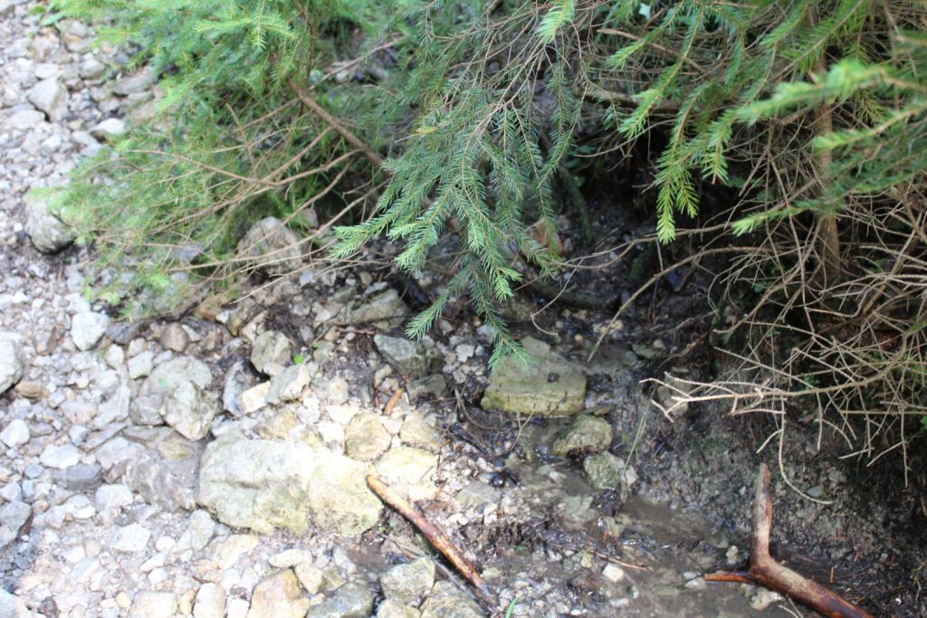 Prameň na chodníku pod Šťukovkou, Valaská Dubová 02 Prameň na chodníku pod Šťukovkou, Valaská Dubová 02