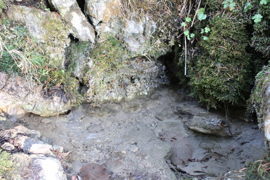 Prameň nad Krmelcami, Ružomberok - Hrboltová 02