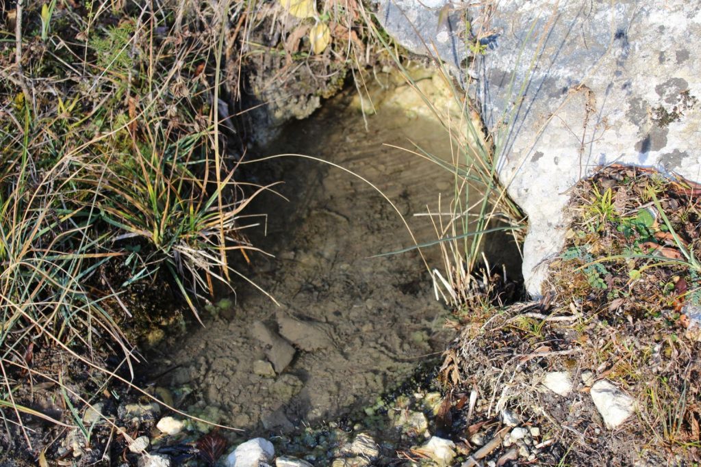 Prameň nad lesnou cestou, Ružomberok - Hrboltová 01 Prameň nad lesnou cestou, Ružomberok - Hrboltová 01