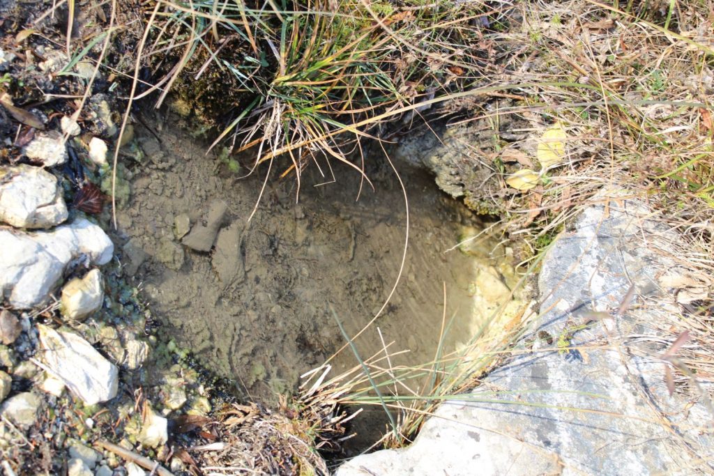 Prameň nad lesnou cestou, Ružomberok - Hrboltová 02 Prameň nad lesnou cestou, Ružomberok - Hrboltová 02