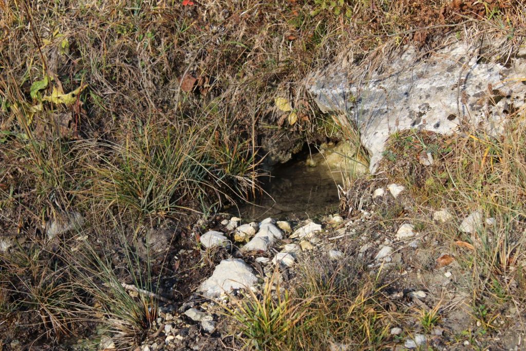 Prameň nad lesnou cestou, Ružomberok - Hrboltová 03 Prameň nad lesnou cestou, Ružomberok - Hrboltová 03