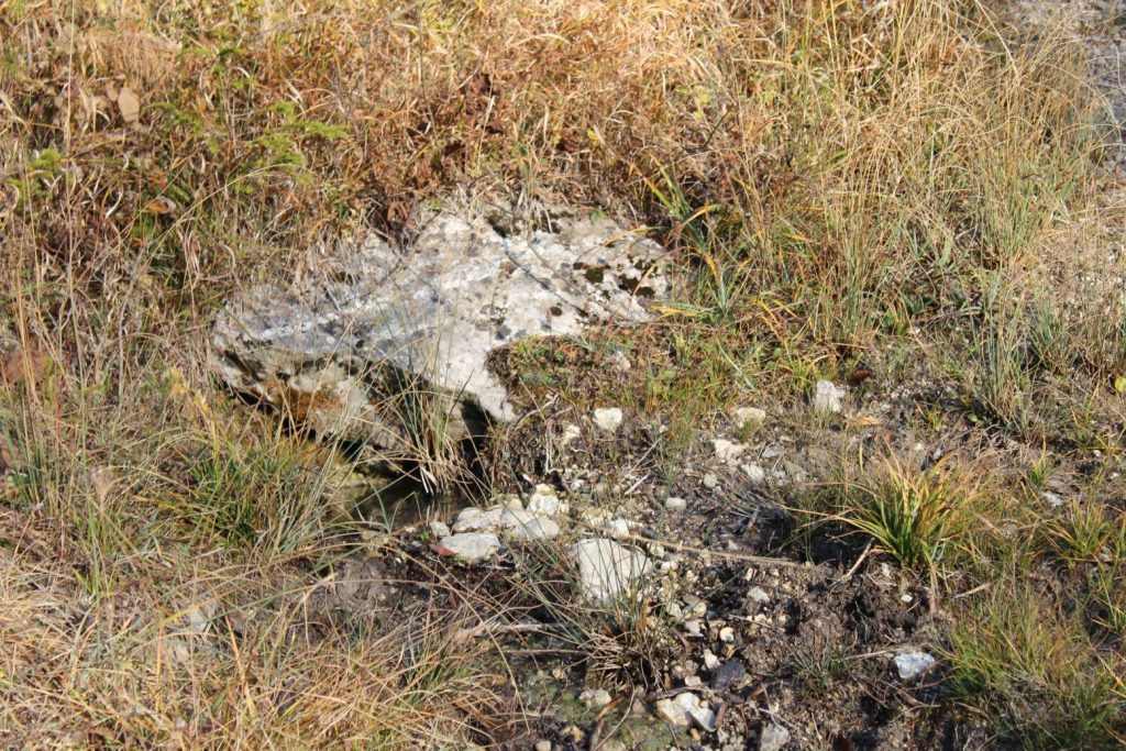 Prameň nad lesnou cestou, Ružomberok - Hrboltová 04 Prameň nad lesnou cestou, Ružomberok - Hrboltová 04