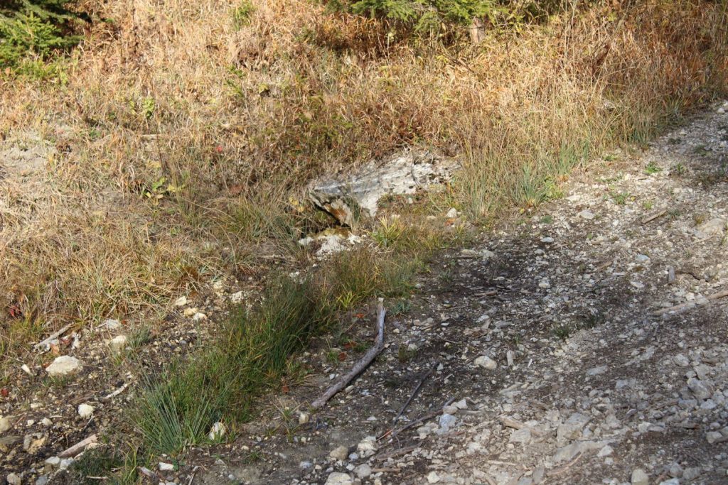 Prameň nad lesnou cestou, Ružomberok - Hrboltová 05 Prameň nad lesnou cestou, Ružomberok - Hrboltová 05
