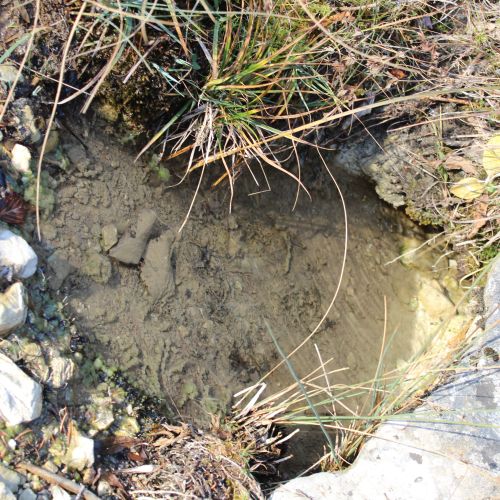 Spring above a forest road, Ružomberok – Hrboltová