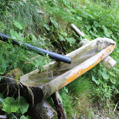 Spring below Makovica, Liptovské Sliače – Stredný