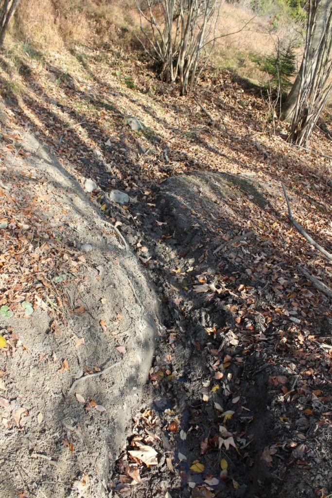 Prameň pod cestou na Vrchlúky, Ružomberok - Vlkolínec 01 Prameň pod cestou na Vrchlúky, Ružomberok - Vlkolínec 01